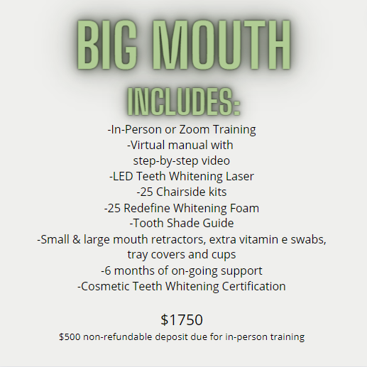 Big Mouth Training (virtual)