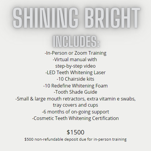 Shining Bright Training (virtual)